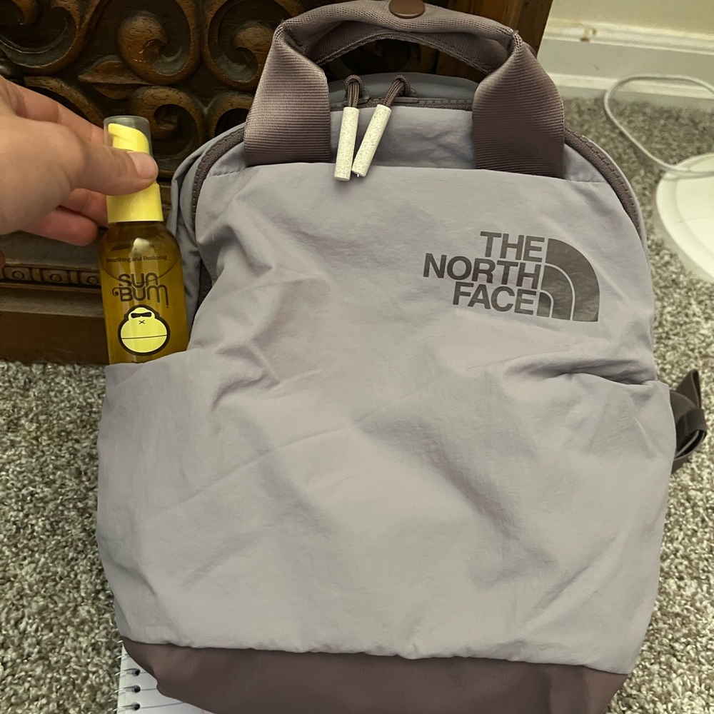 The North Face mini backpack Never Stop New!